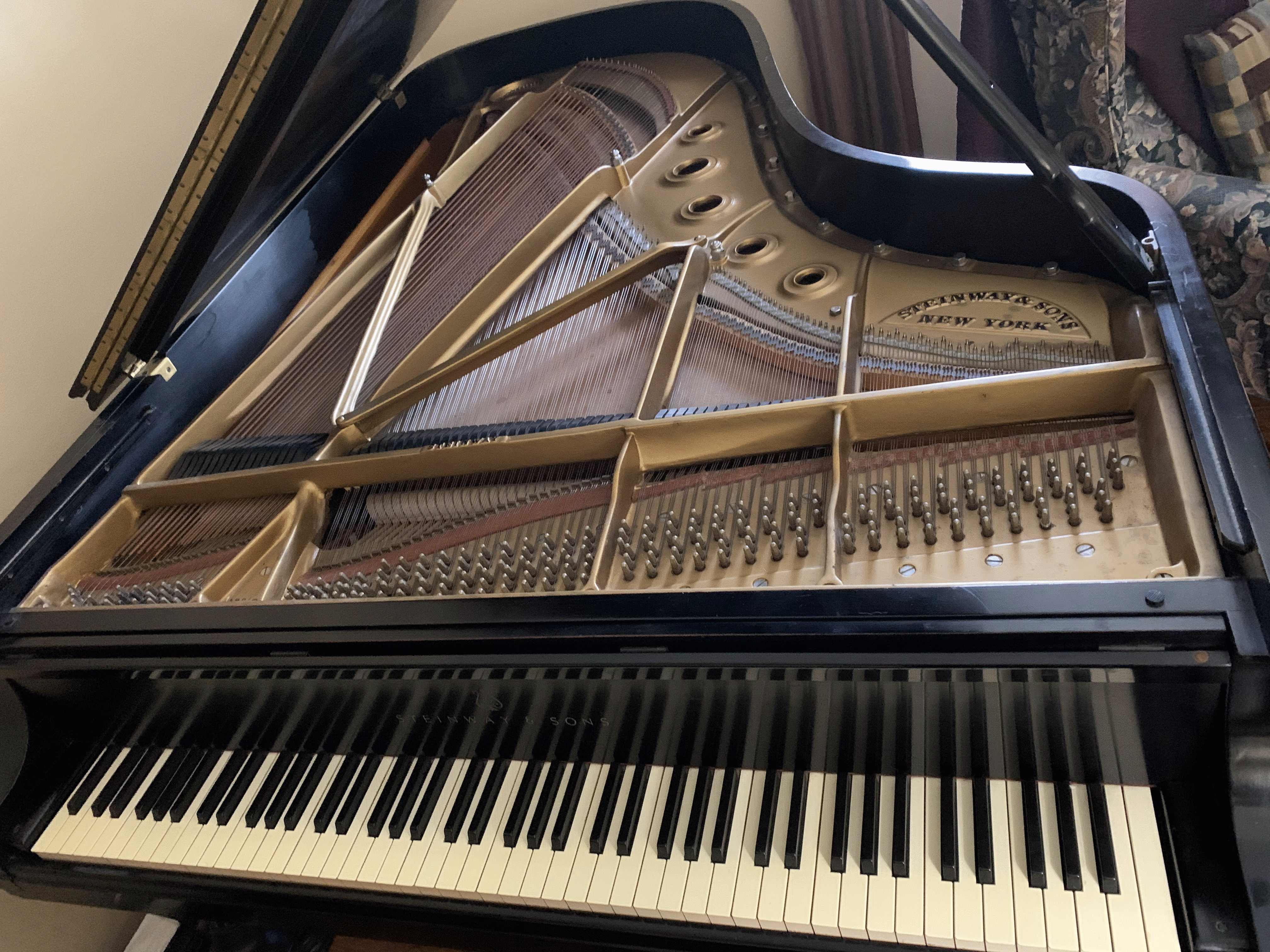 Steinway B
