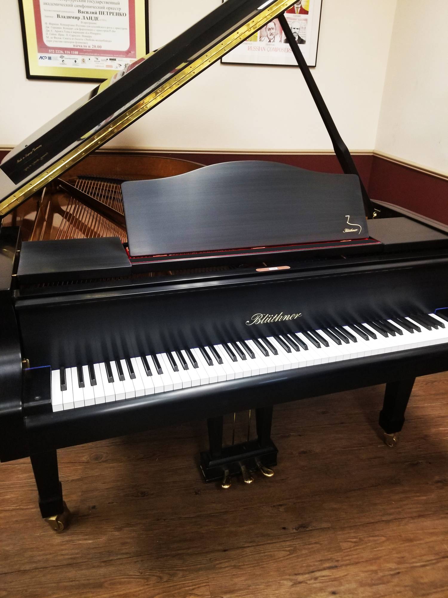 Pre-Owned Blüthner Model 4 - One Owner / Excellent Condition