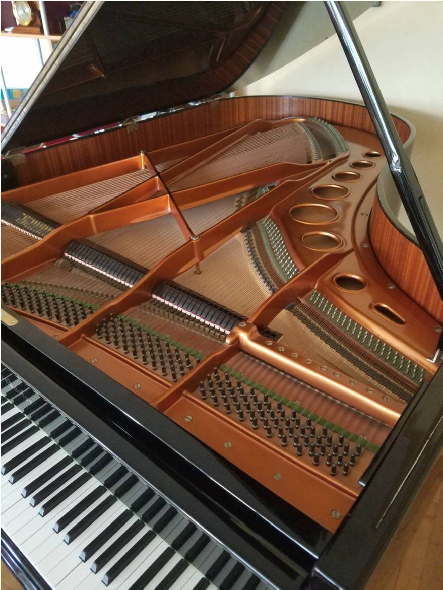 SOLD: BÖSENDORFER 200 (1977) Rebuilt in perfect condition