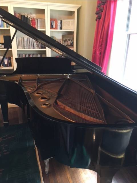 Golden Era Steinway B