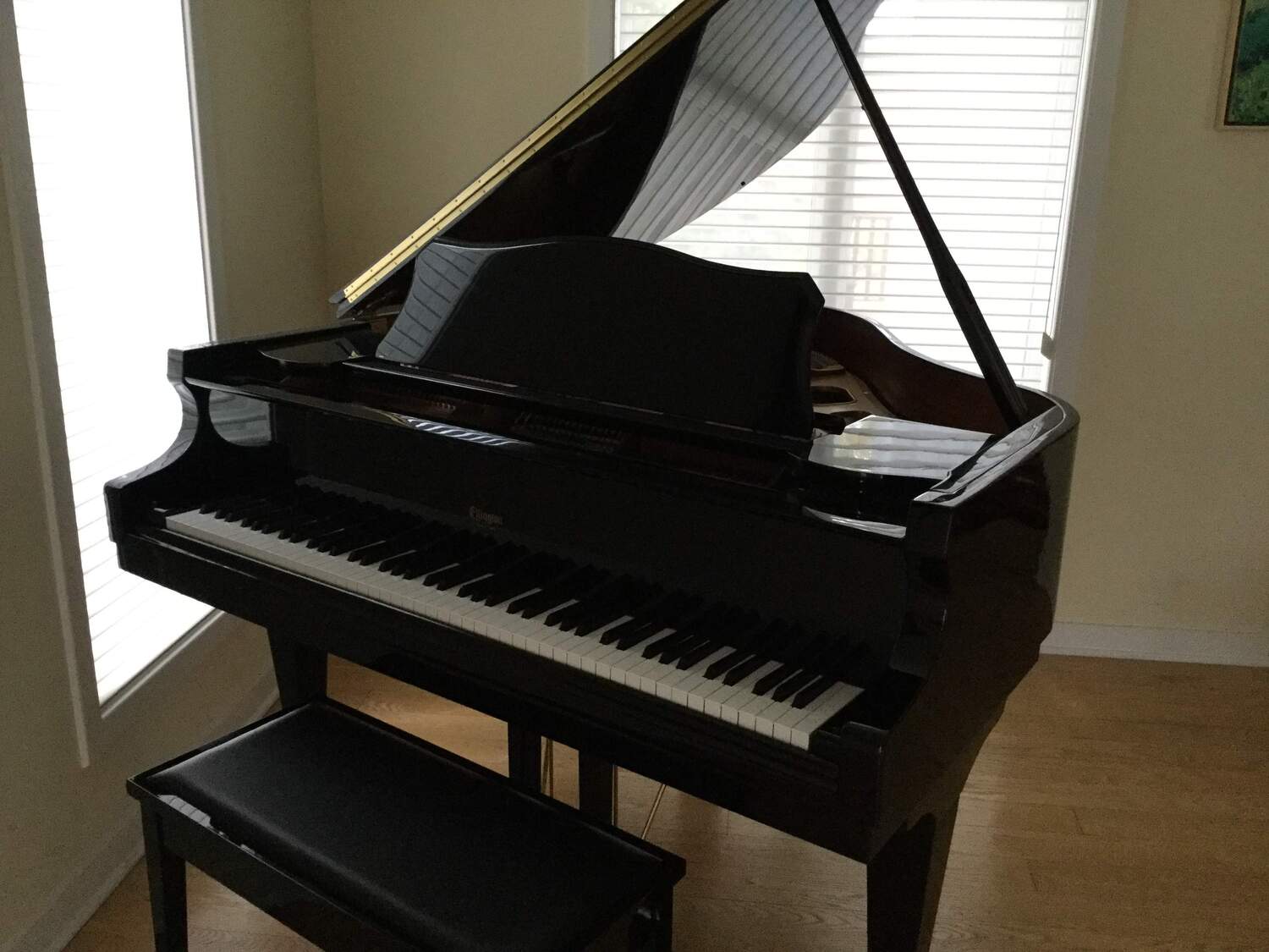 Beautiful Baldwin Ellington Baby Grand