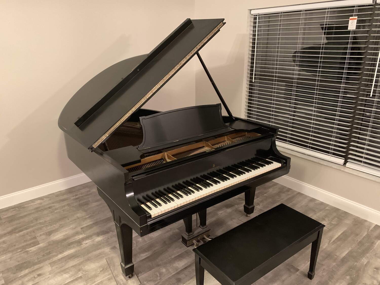 1922 Steinway Model O - Baby Grand Piano