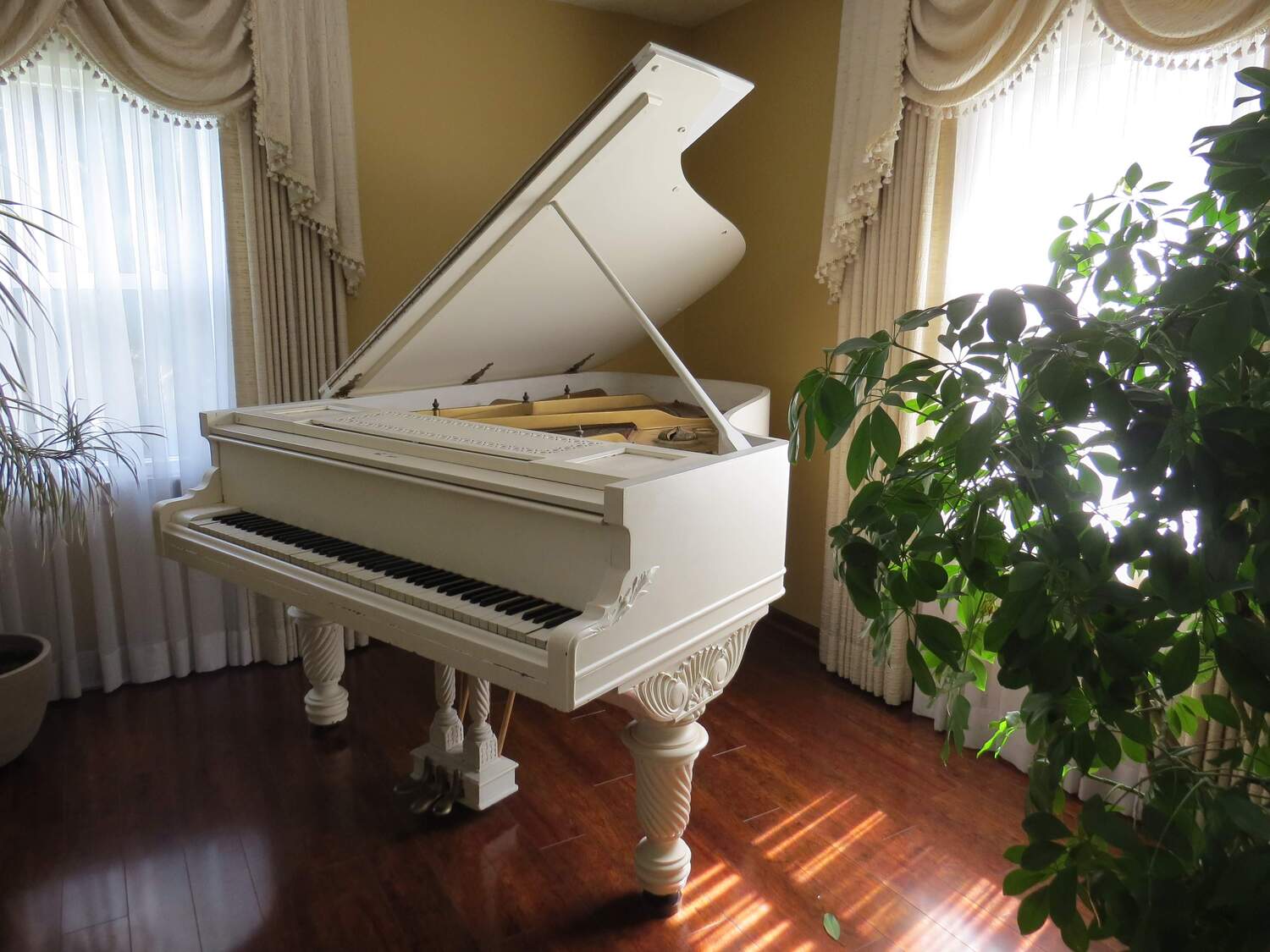 Beautiful Grand Piano 