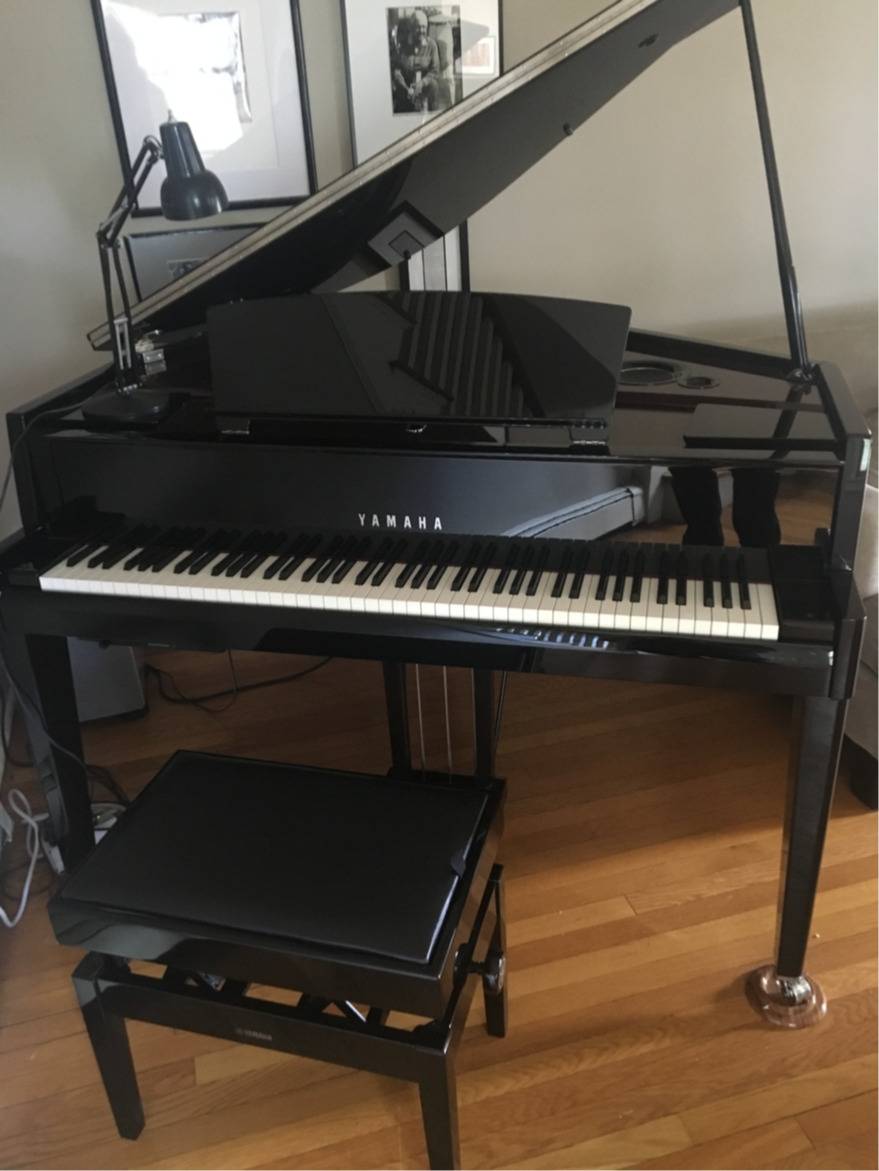 Yamaha Avantgrand N3 