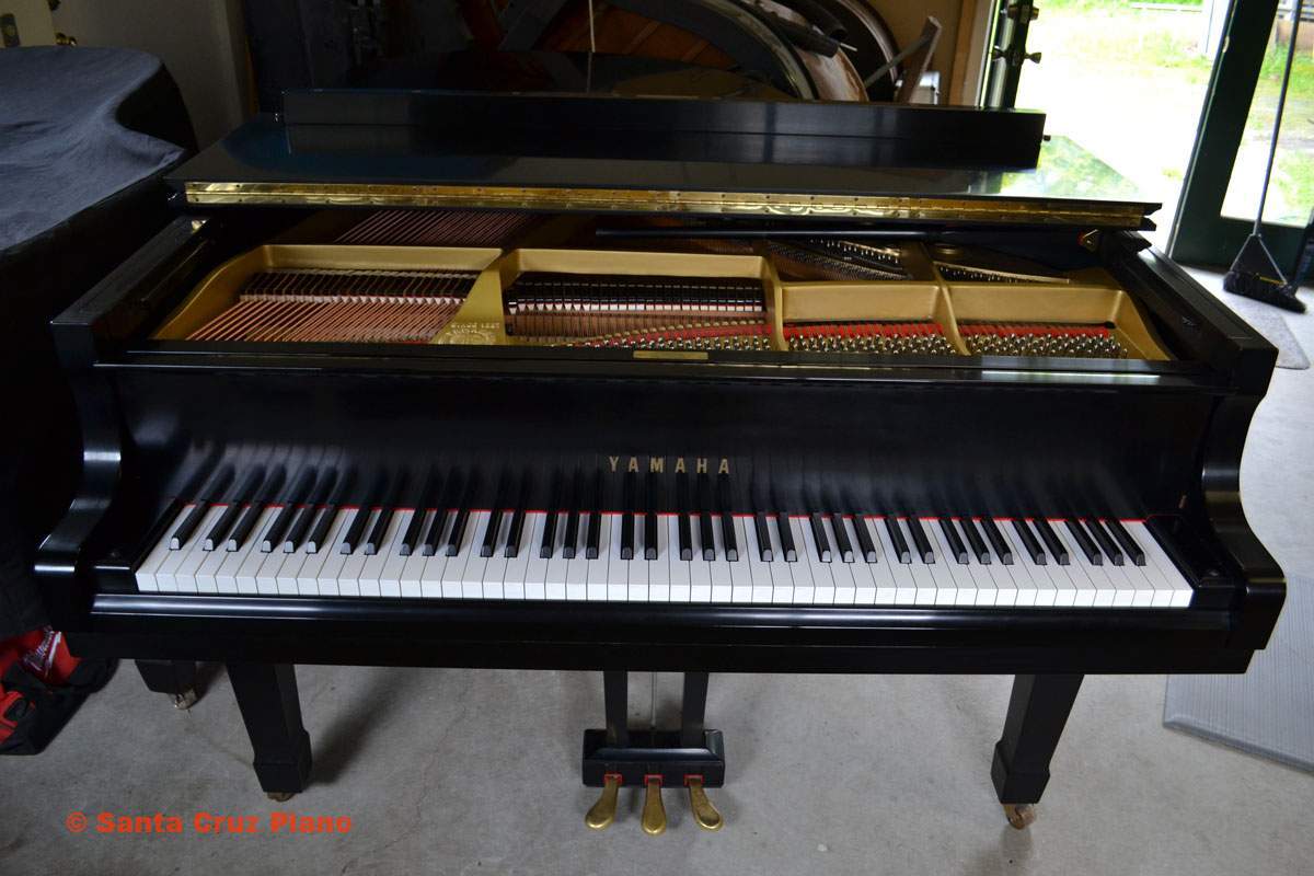 Yamaha C3 - EXCELLENT! Full Refurb [2127]