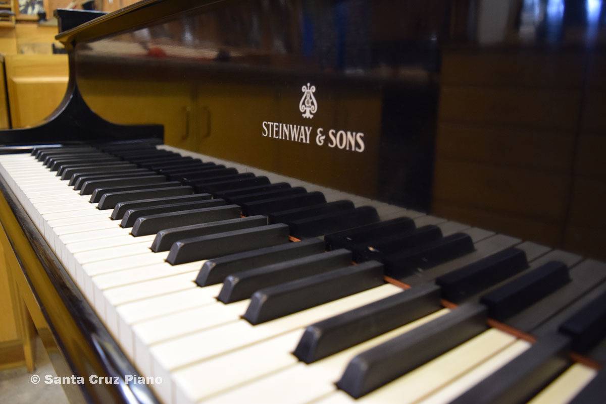 Steinway B - fully regulated and voiced