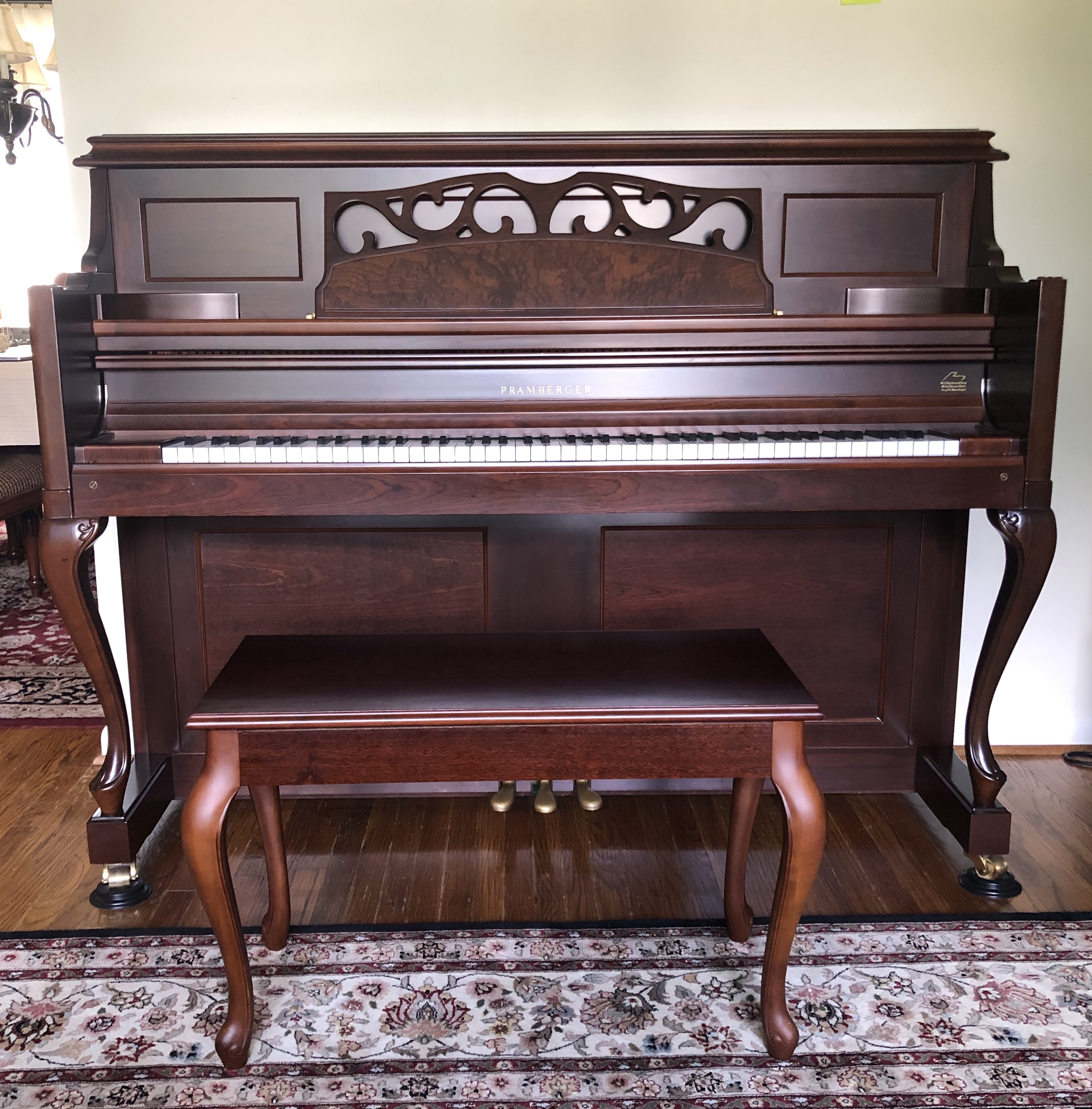 Pramberger 49" Upright MBS by Young Chang in Mint Condition