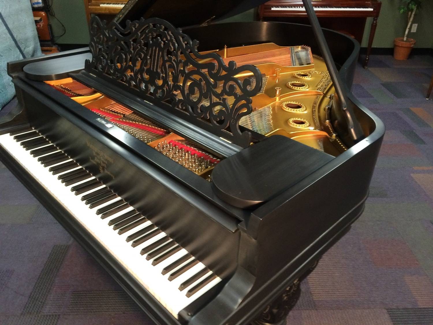 Beautiful Steinway Grand