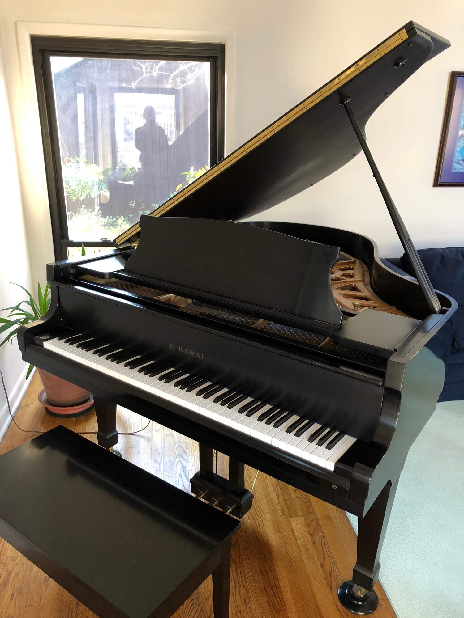 KAWAI KG-2D in EXCELLENT condition REDUCED AGAIN!