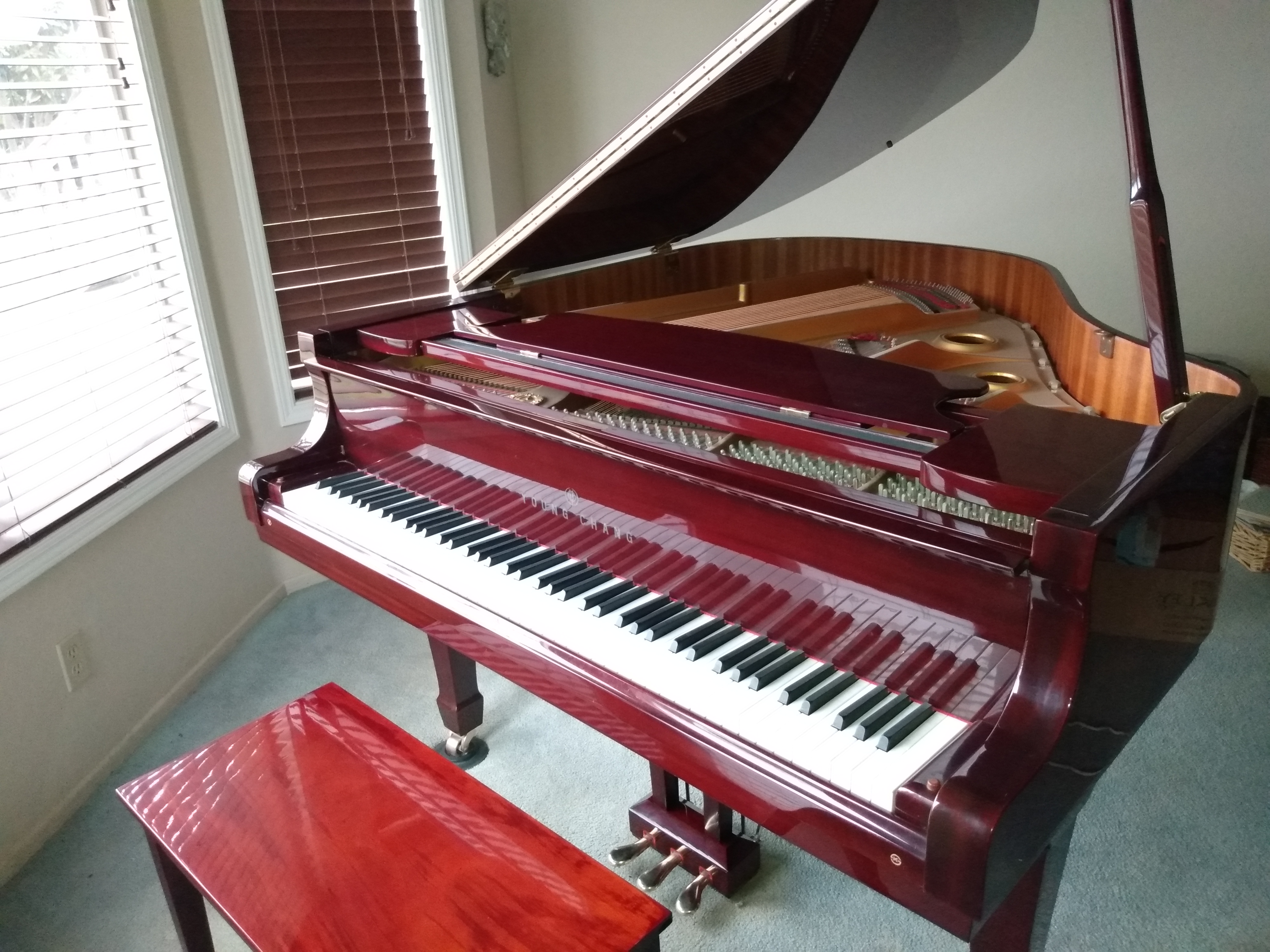 Beautiful Young Chang baby grand