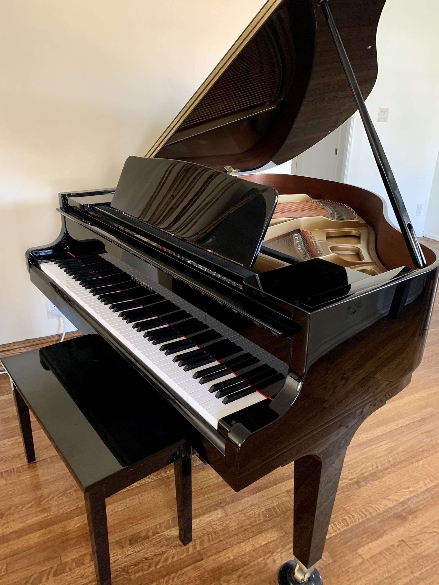 Kawai Baby Grand Piano (Black Ebony)