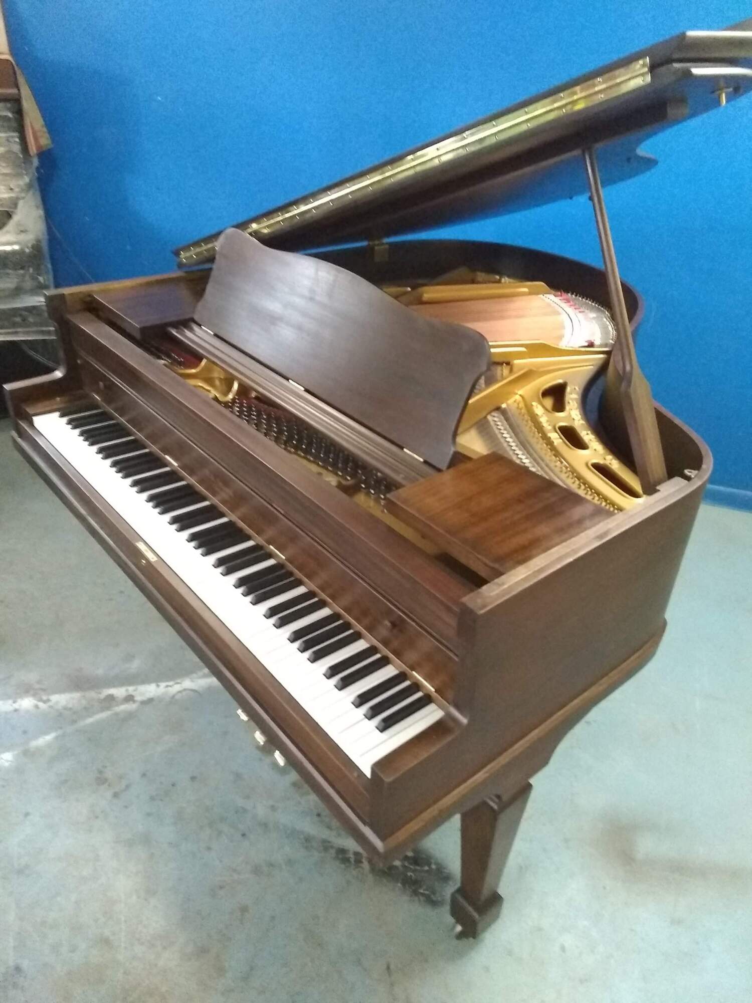 Starck Baby Grand - 4; 10"