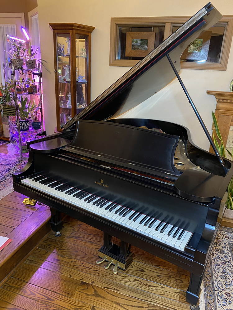 Affordable Model O 